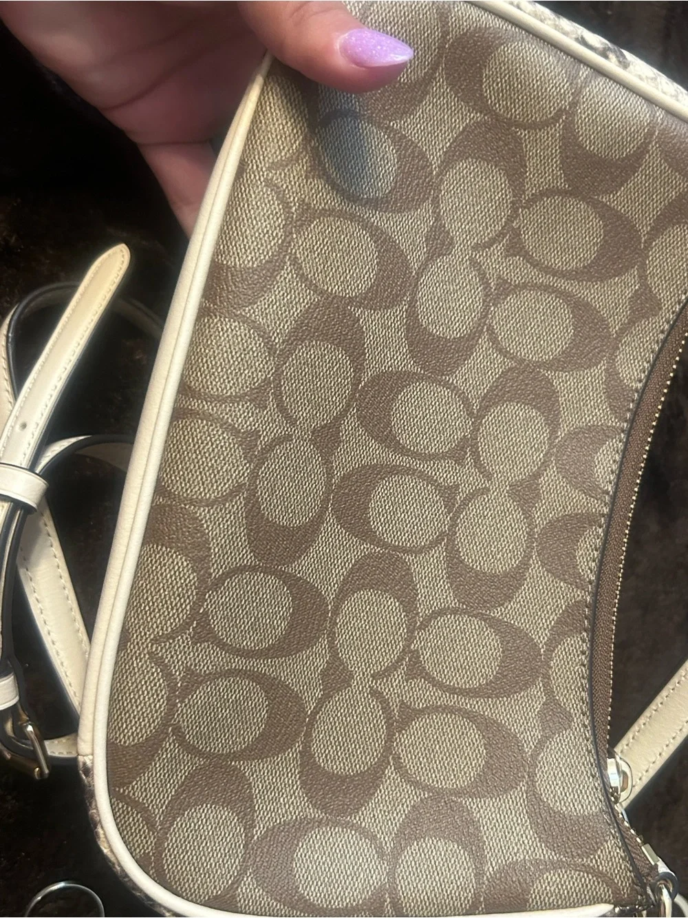 Sold Coach Signature Teri Bag & Wallet